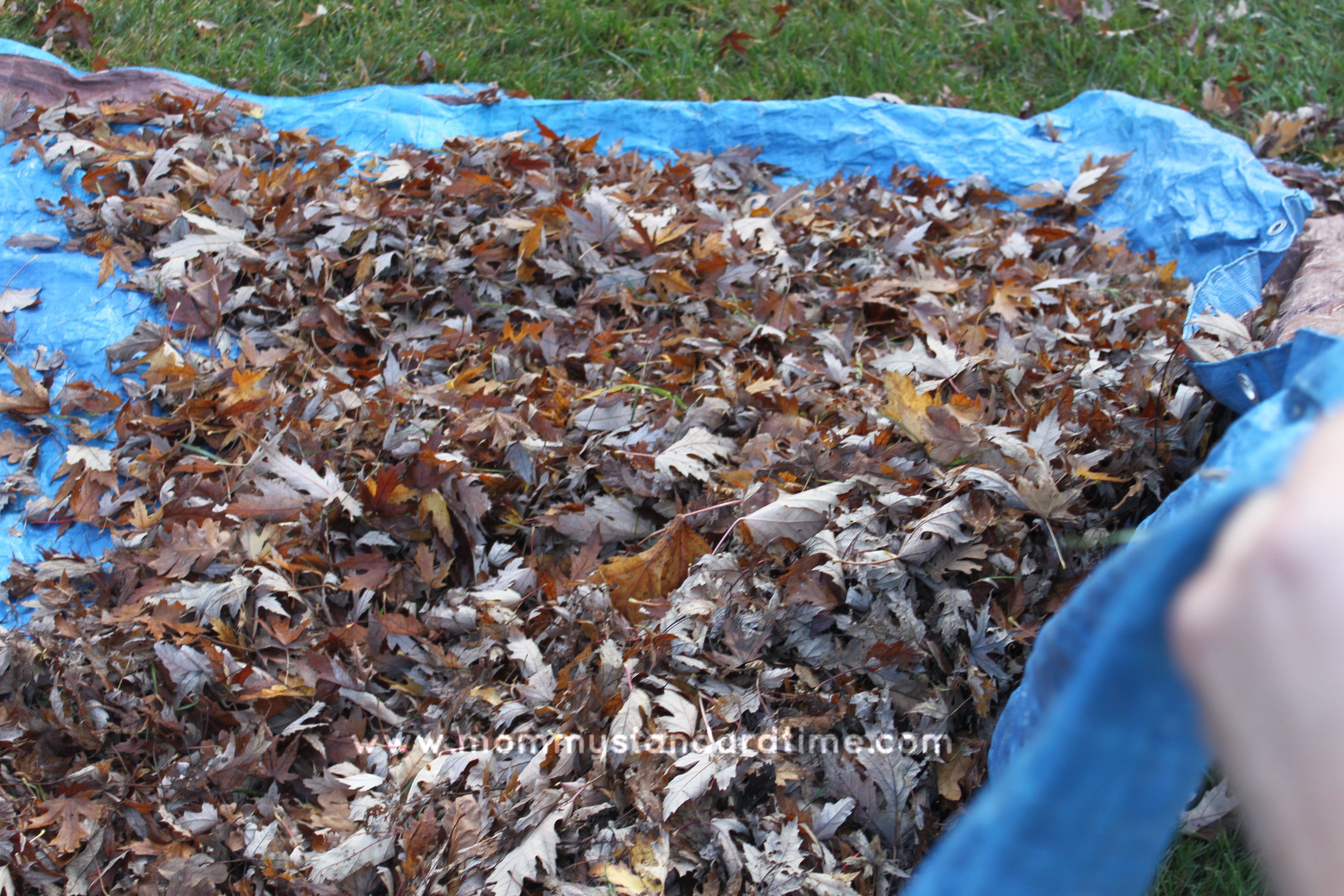 pickingupleaves Mommy Standard Time